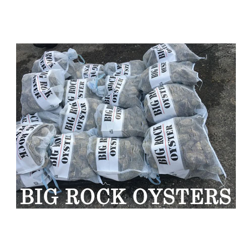 big rock oyster logo